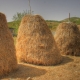 Straw Albania